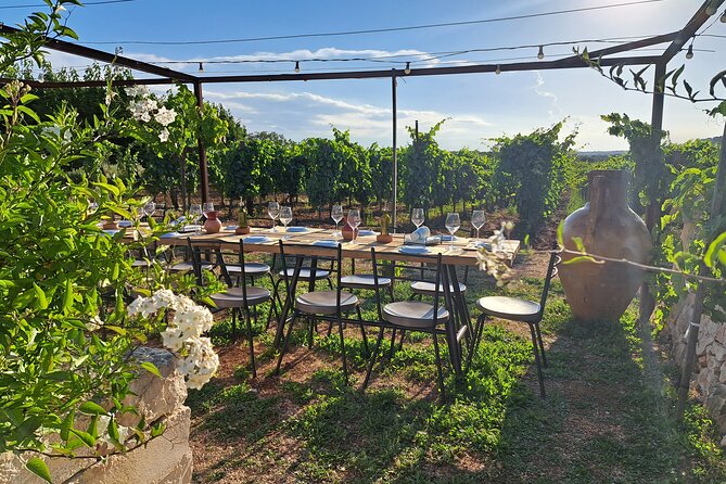 Dinner in the vineyard with wine tasting and walk - Key Points