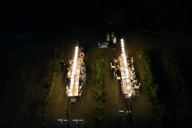 Dinner in the Vineyards - The Vineyard Dinner in a Festive Setting
