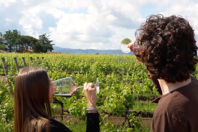 Dinner in the Vineyards - The Guide’s Role and Group Atmosphere