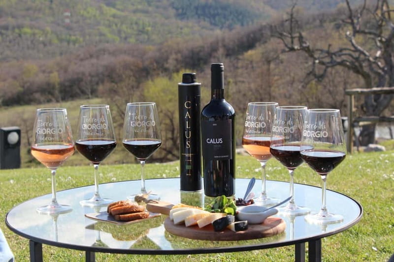 Dinner in Villa Tuscany - The Weekly Four-Course Menu and Organic Ingredients