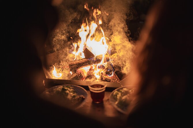 Dinner with Northern Light hunt in Rovaniemi - Discover the Dinner with Northern Light Hunt in Rovaniemi