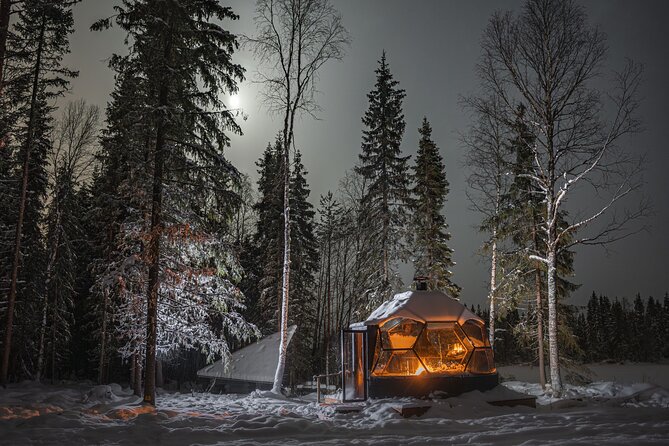 Dinner with Northern Light hunt in Rovaniemi - Key Points