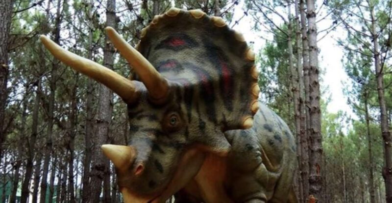 Dinosaurs Park - Family Half day tour - The Outdoor Dinosaur Museum: Explore Over 120 Life-sized Models