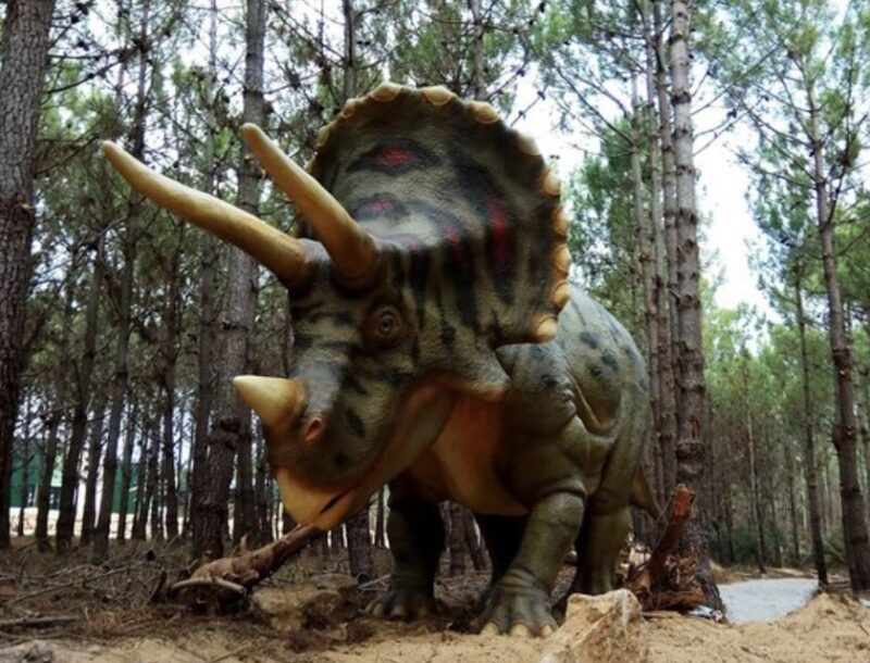 Dinosaurs Park - Family Half day tour - The Four Earth Epochs: Discover Critical Moments in Prehistory