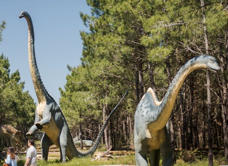 Dinosaurs Park - Family Half day tour - Fossil Preparation: Watch Science in Action