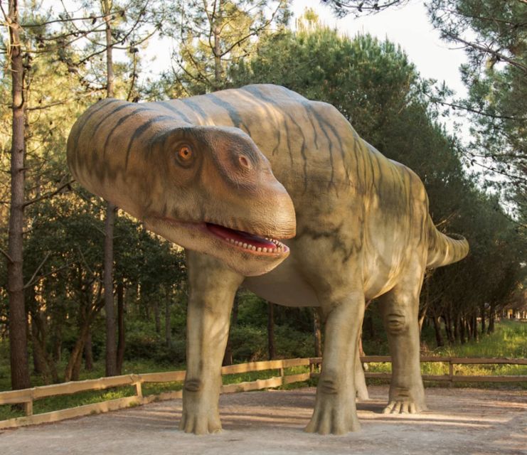 Dinosaurs Park - Family Half day tour - Logistics: Convenient Pickup and Drop-off Locations