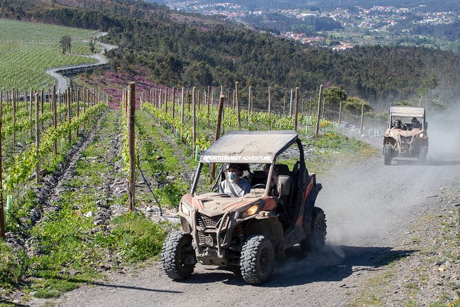 Dirt and Dust Tour by Oporto Buggy - Safety and Insurance Considerations