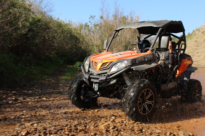 Dirt & Dust Buggy Tour - Unmatched Views and Photo Opportunities