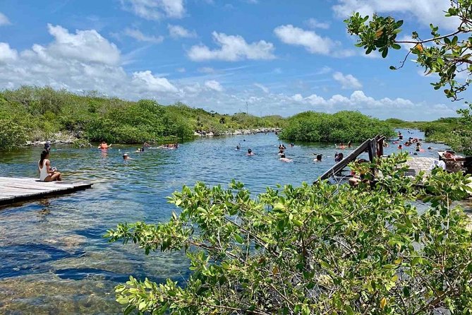 Discover an amazing world:Cenote exploration and jungle soaring. Buffet included - Logistics: Pickup, Transport, and Group Size