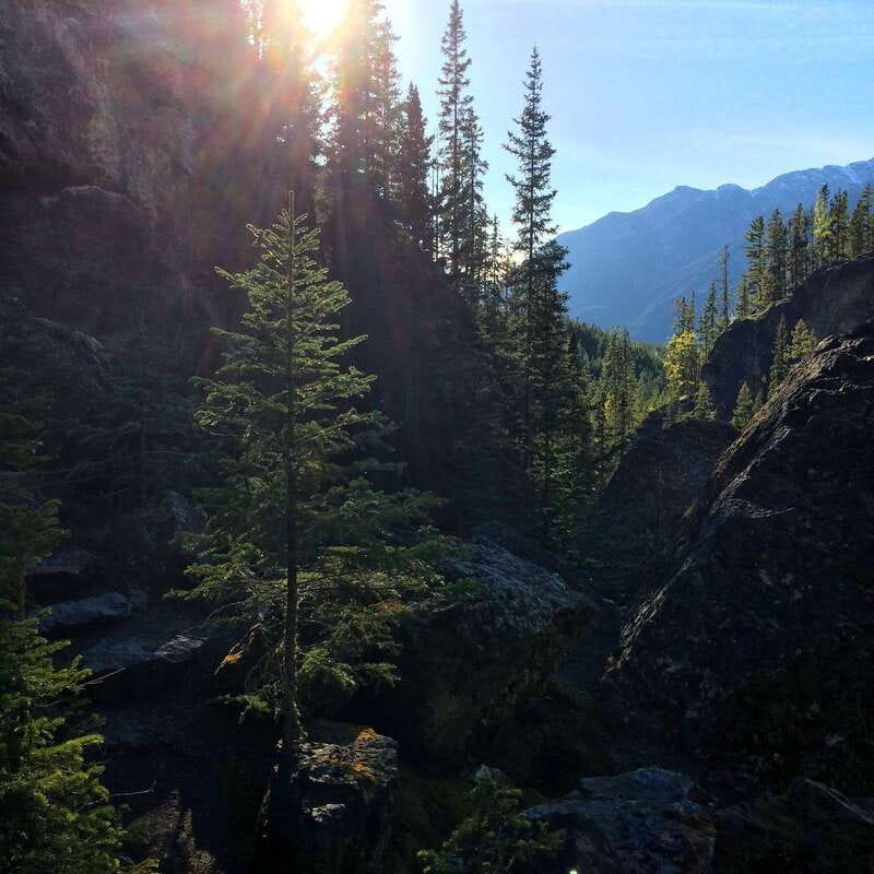 Discover Ancient Pictographs - Guided Canyon Hiking Tour 3H - Discover the Rich History and Natural Beauty of Canmores Canyon