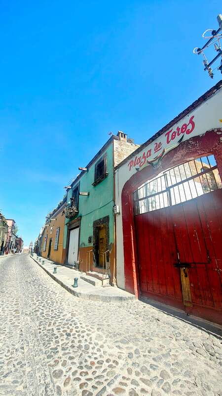 Discover and Explore San Miguel de Allende - Suitability and Final Thoughts on the Tour
