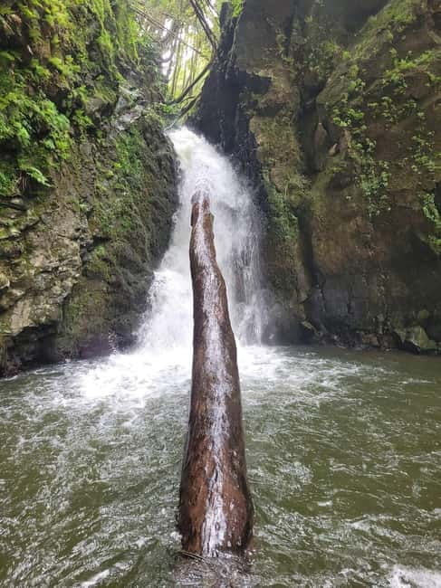 Discover and Hike São Miguel with Rúben - The Value of a Small-Group, Tailored Experience