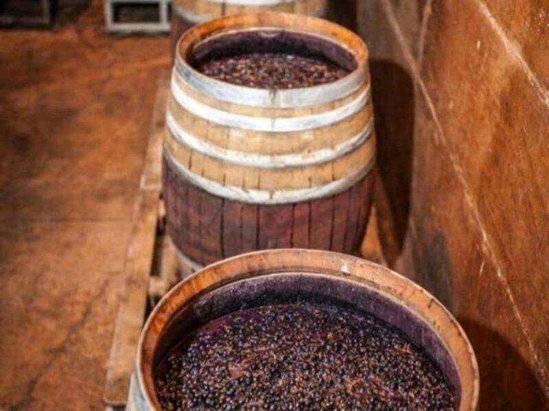 Discover Antigonea in a perfect escape from Gjirokastra - Exploring the Ruins of Antigonea