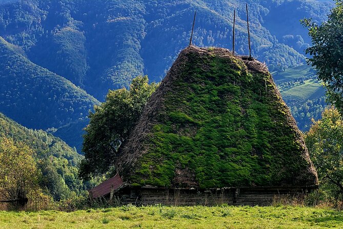 Discover Apuseni Mountains - Scarita Summit,Sipote Waterfall and Dumesti Village - Hiking to Scarita Peak at 1384 Meters