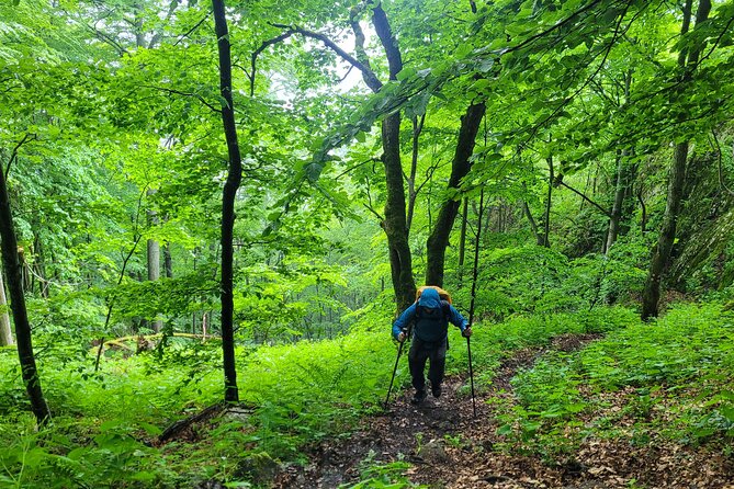 Discover Apuseni Mountains - Scarita Summit,Sipote Waterfall and Dumesti Village - Logistics and Group Size
