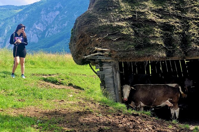 Discover Apuseni Mountains - Scarita Summit,Sipote Waterfall and Dumesti Village - Who Will Enjoy This Mountain Hike?