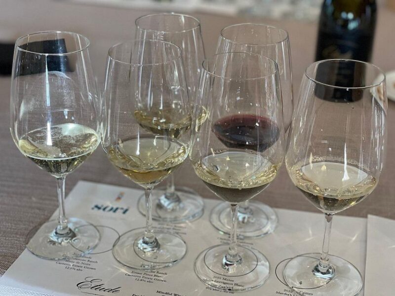 Discover Arrábida: Wine and Scenic Wonders - Visit to Arrábidas Scenic Vineyards