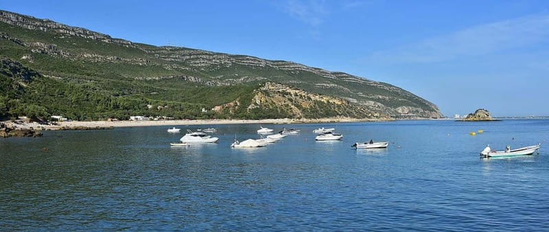 Discover Arrábida: Wine and Scenic Wonders - The Logistics and Group Size