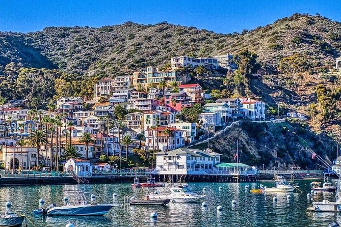 Discover Avalon: Catalina Scenic Tour - Starting Point in Avalon at the Island Tour Plaza