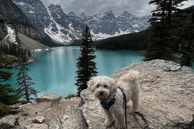 Discover Banff National Park with Dog Friendly Exclusive Tour - Lake Louise: The Iconic Canadian Rockies Lake
