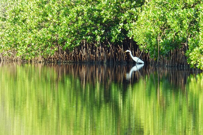 Discover Barra de Potosí - Practical Details: Pickup, Timing, and Group Size