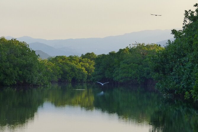 Discover Barra de Potosí - The Kayaking Experience and What to Expect