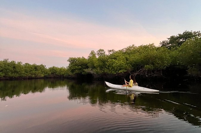Discover Barra de Potosí - Encountering Wildlife in the Ecological Park