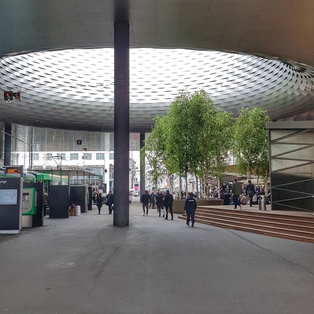 Discover Basel's Charm: Exclusive Private Walking Tour - Accessibility and Practical Tips