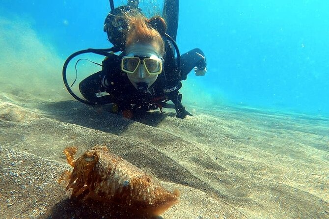 Discover beginner diving in Tenerife - Practical Details: Meeting Point, Equipment, and Insurance