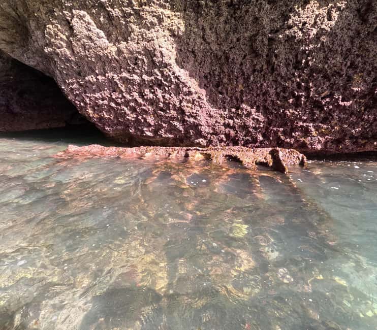 Discover Benagil Caves on a Guided paddle-boarding Tour - Who Will Enjoy This Paddleboarding Tour?