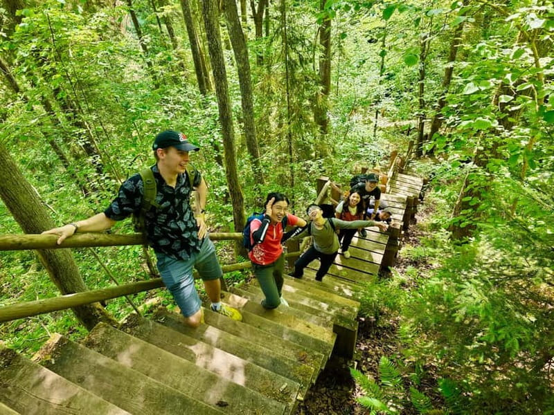 Discover Best of Sigulda and Gauja National Park In One Day - Cultural Insights and Nature Conservation in Latvia