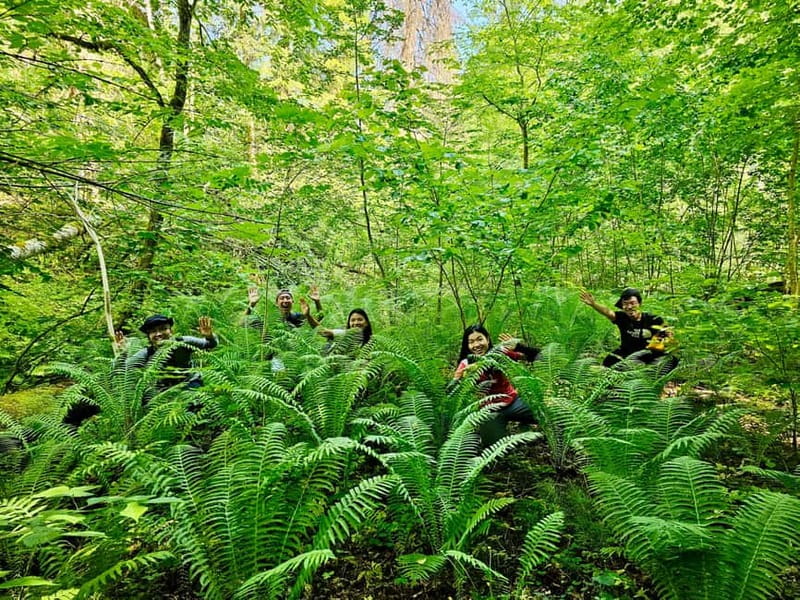 Discover Best of Sigulda and Gauja National Park In One Day - Physical Requirements and Recommendations