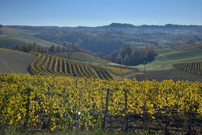 Discover Brunello Wines with DiWine Experience - Key Points