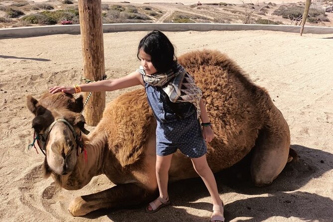 Discover Cabo San Lucas by camel ride - Additional Snacks and Refreshments