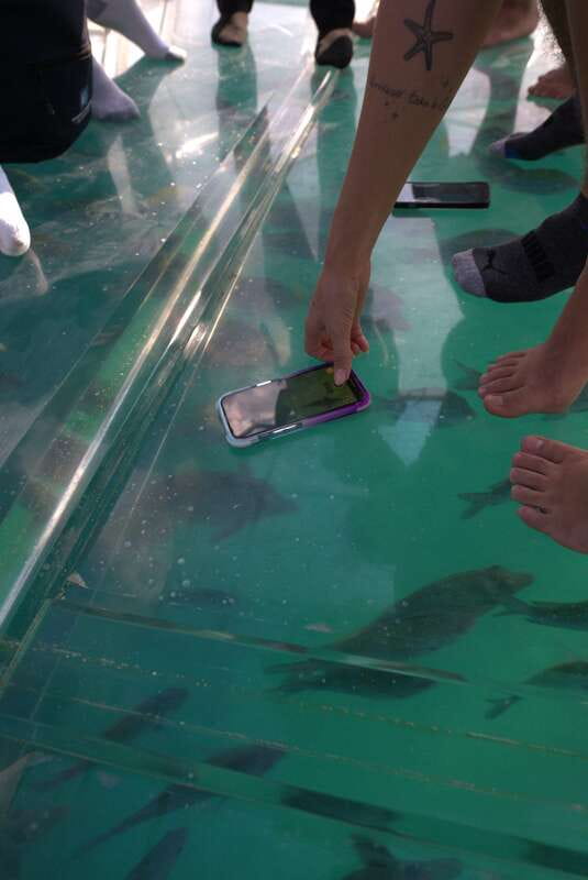 Discover Cabo San Lucas Clear Boat Glass Factory & Tequila - Visiting the Glass Factory: Handmade Art and Craftsmanship