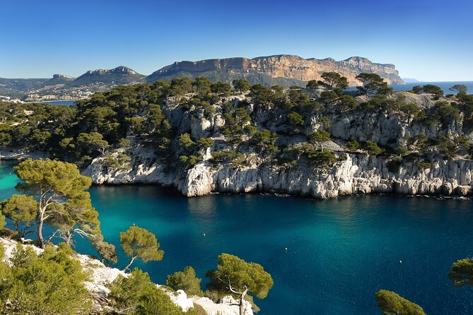 Discover Cassis from Marseille Cruise Port or Hotel by Luxury Van - Key Points