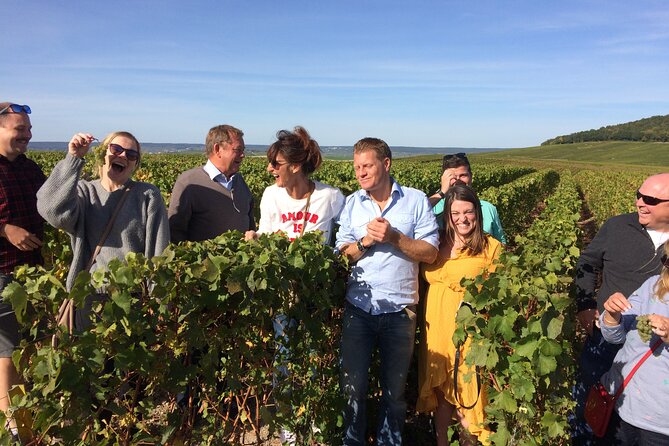 Discover Champagne in half a day in a Van - Discovering Family-Owned Wineries in Cumières