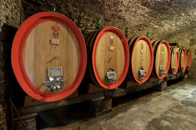 Discover Chianti Classico Wines DiWine Experience - Siena as the Starting Point for Chianti Wine Exploration