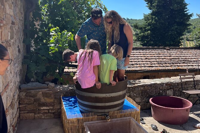 Discover Chianti Classico Wines DiWine Experience - Scenic Views and the Best of Tuscan Landscapes