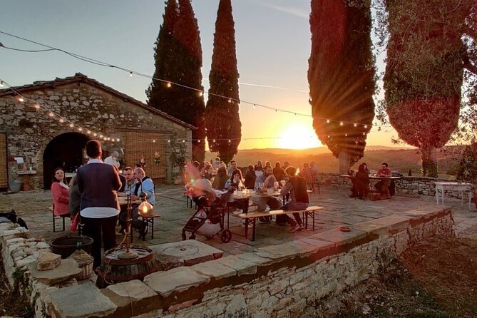 Discover Chianti Classico Wines DiWine Experience - Practical Details and Logistics