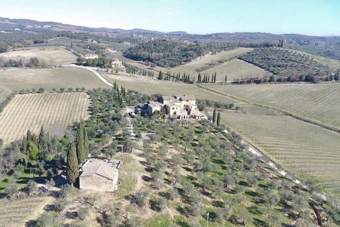 Discover Chianti Classico Wines DiWine Experience - Why This Tour Stands Out from Others