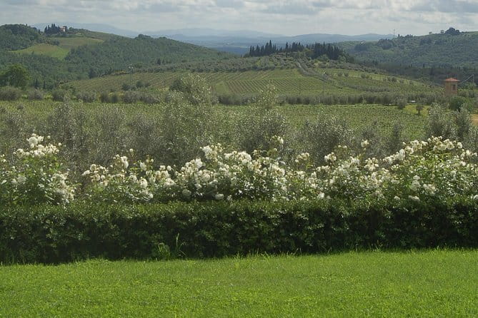 Discover Chianti Through its Wines - Discover Chianti Through its Wines at Casa Sola