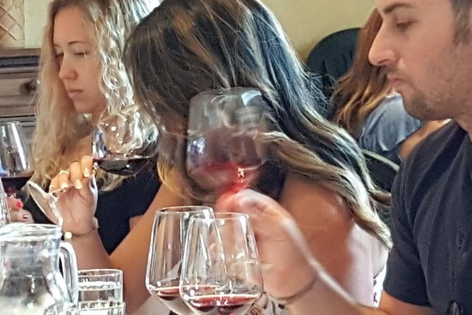 Discover Chianti Through its Wines - Key Points