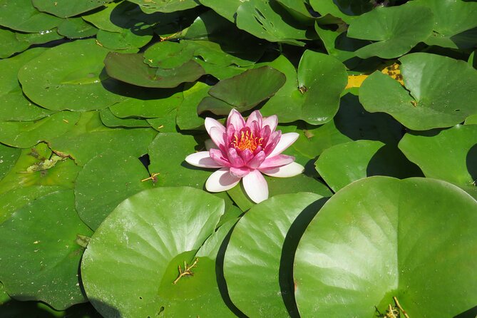 Discover cliffs and myths of Bulgarian Northern Black Sea coast - Practical Details and Booking Flexibility