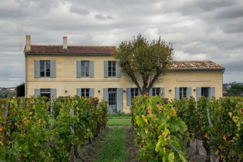 Discover Clos Systey: Organic and Biodynamic Wines in Saint-Émilion - The Experience of the Guided Tour