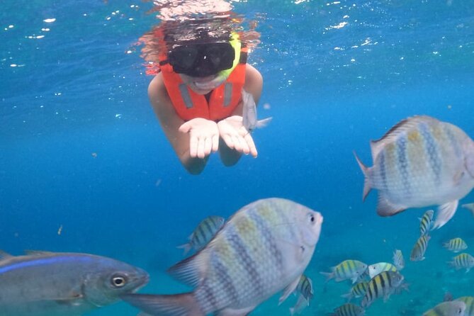 Discover Cozumel in a Transparent Boat! - Small Groups and Personalized Service