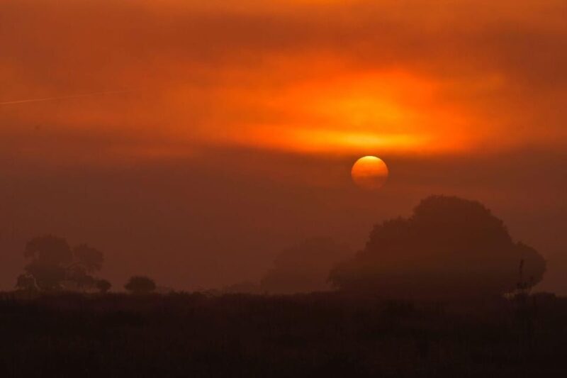 Discover Doñana & Iberian Lynx: Premium Nature Tour - Key Points
