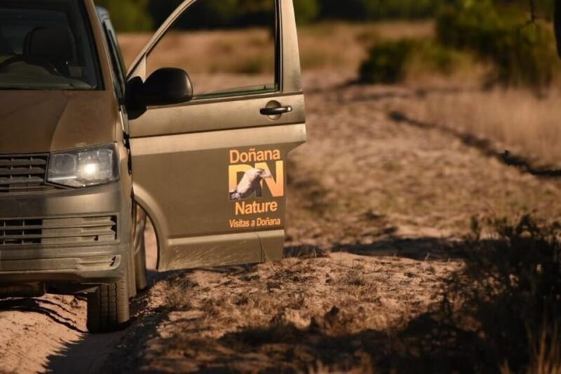 Discover Doñana & Iberian Lynx: Premium Nature Tour - Cost-Effective Conservation and Cultural Learning