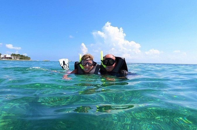 Discover El Cielo and Cozumel Snorkeling Adventure - Lunch at Toros Place: Hearty Meals and Refreshing Drinks