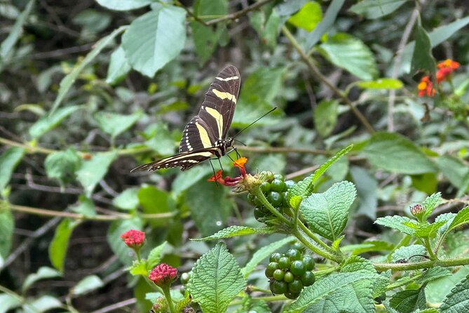 Discover Estanzuela Natural Park - Booking Details and Cancellation Policy
